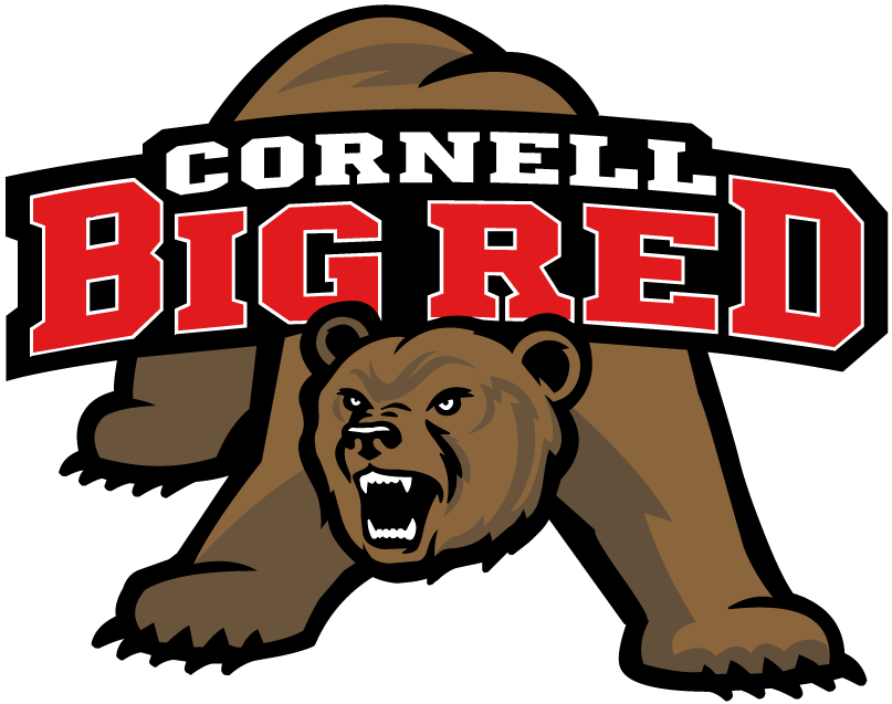 Cornell Big Red 1998-2001 Primary Logo diy DTF decal sticker